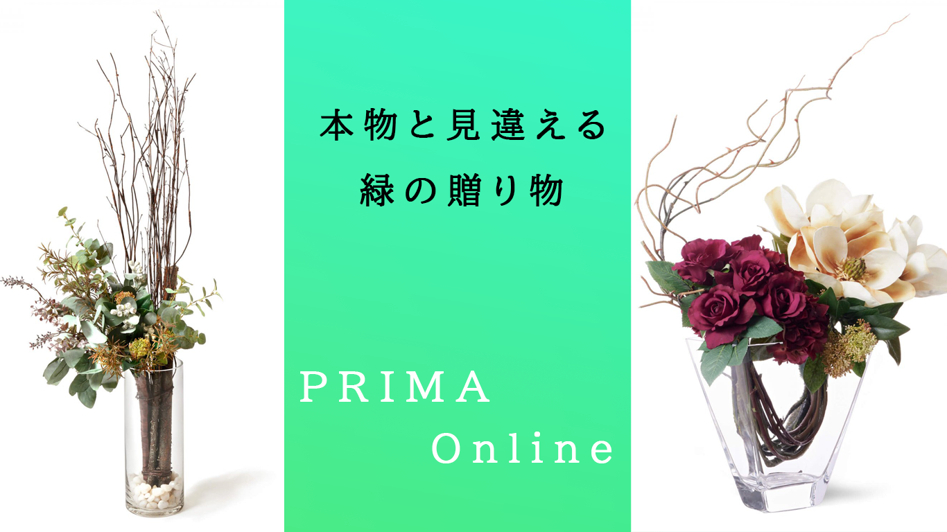 【PRIMA online】